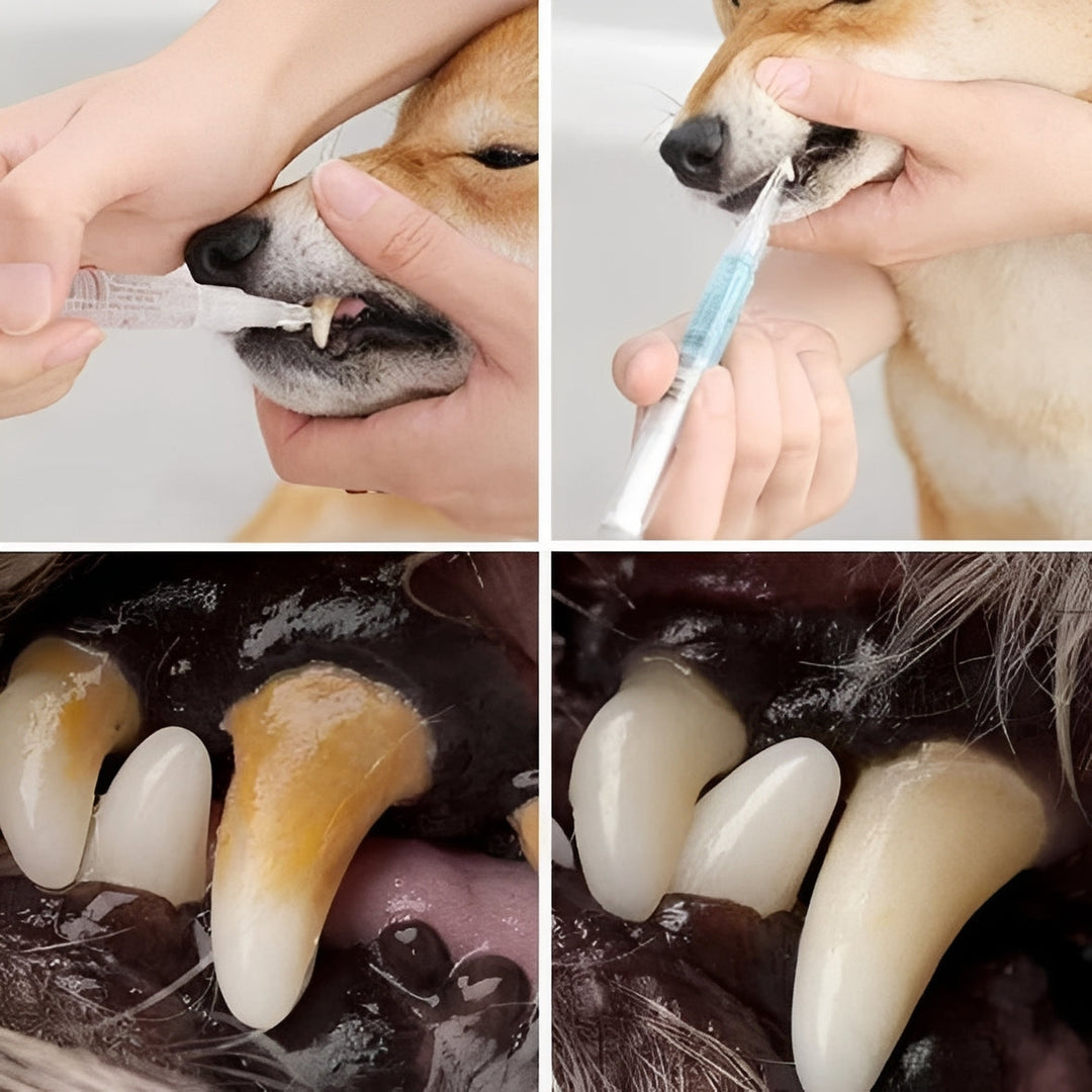 Pet Teeth Cleaning and Repair Formula Advanced Care