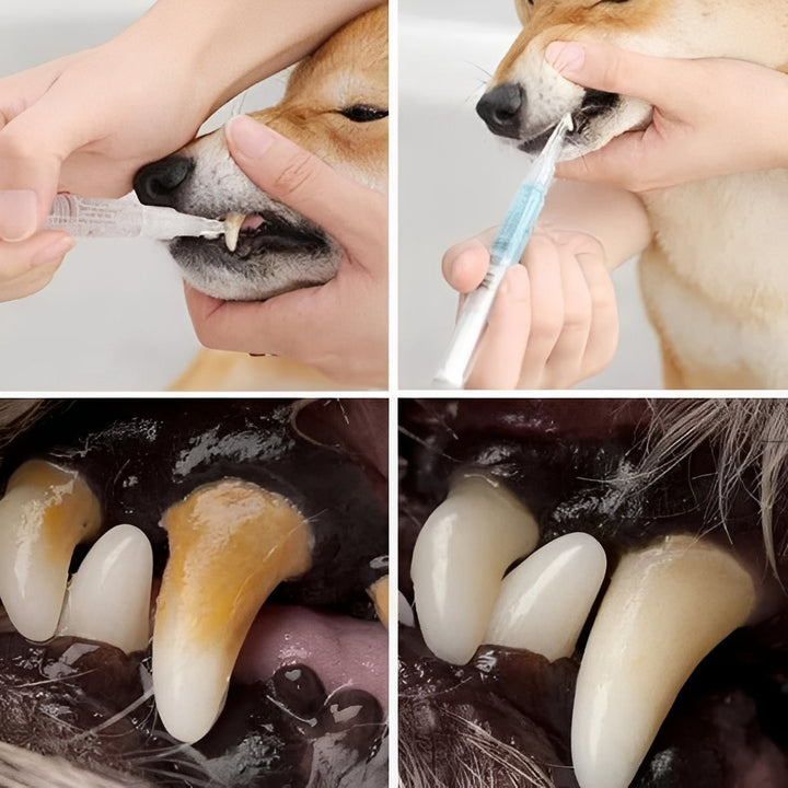 Pet Teeth Cleaning and Repair Formula Advanced Care