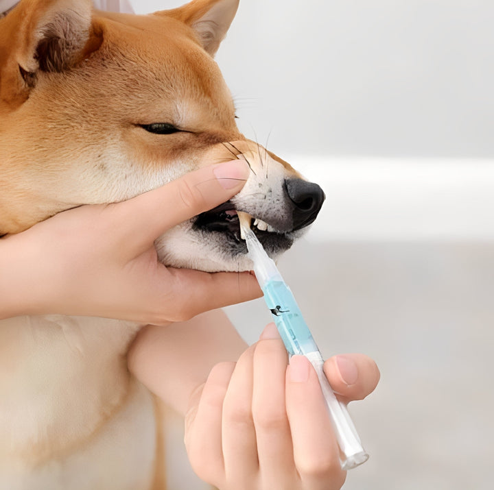 Pet Teeth Cleaning and Repair Formula Advanced Care - Lenila