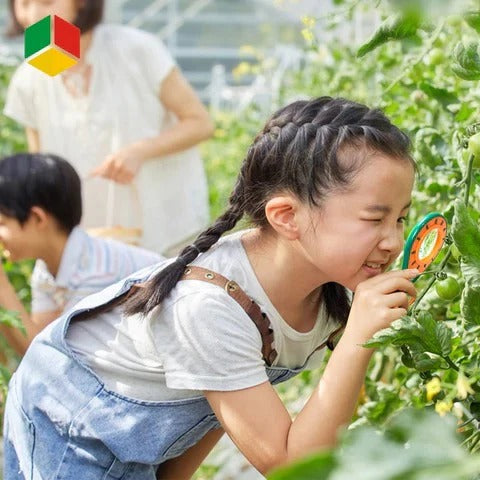 Kids Insect Exploration Kit Educational Outdoor Tool