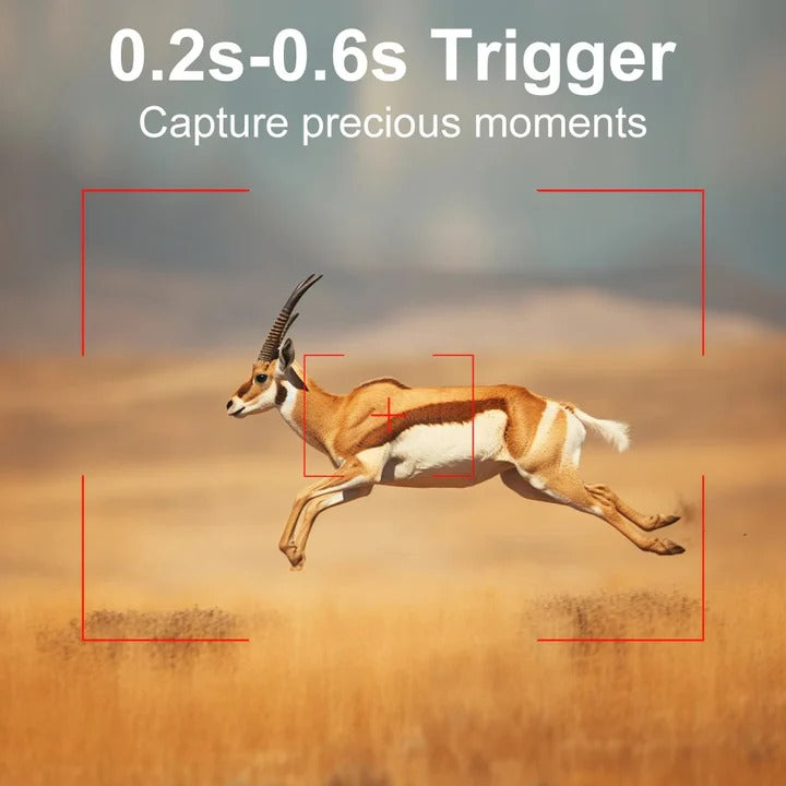 Trail Camera with High-Definition Night Vision