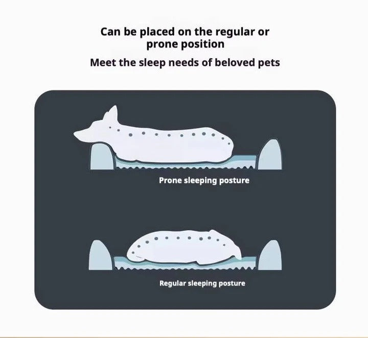 Pet Orthopedic Car Dog Bed Ergonomic Pressure Relief Non-Slip