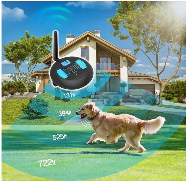 Wireless Dual Boundary and Remote Outdoor Trainer
