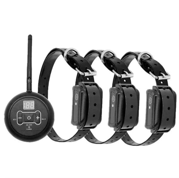 Wireless Dual Boundary and Remote Outdoor Trainer
