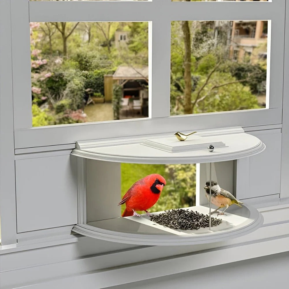 Bird Feeder with Panoramic Window Wide Angle Visibility - Lenila