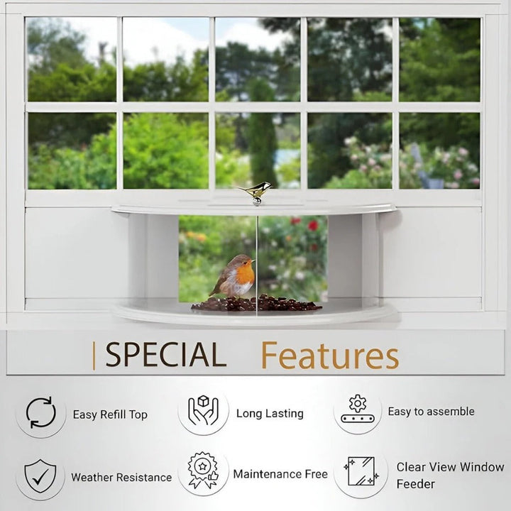 Bird Feeder with Panoramic Window Wide Angle Visibility