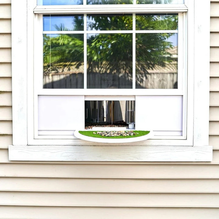 Bird Feeder with Panoramic Window Wide Angle Visibility