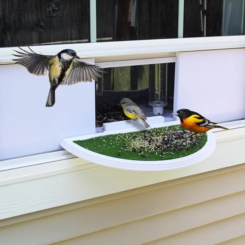 Bird Feeder with Panoramic Window Wide Angle Visibility
