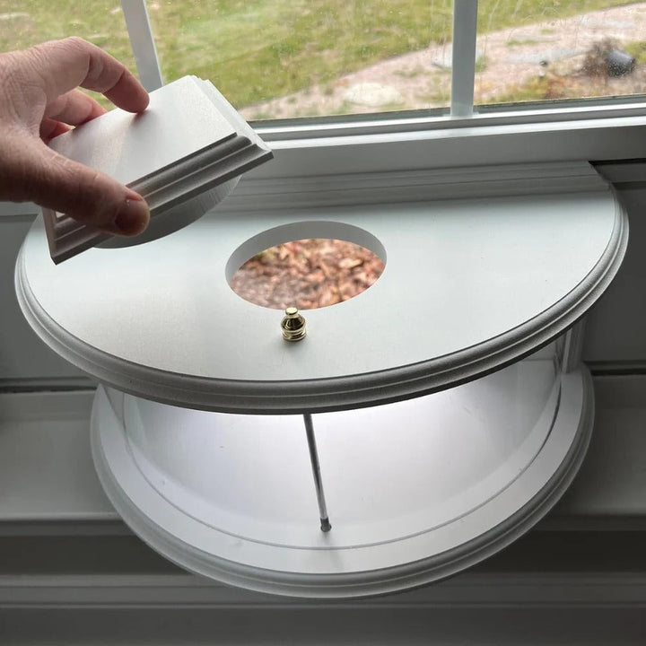 Bird Feeder with Panoramic Window Wide Angle Visibility