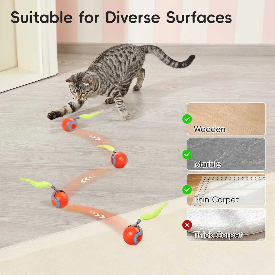 Interactive Cat Toys Tail Design Indoor Play Set