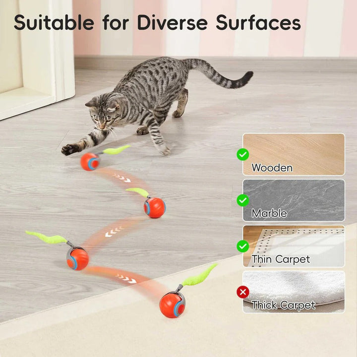 Interactive Cat Toys Tail Design Indoor Play Set