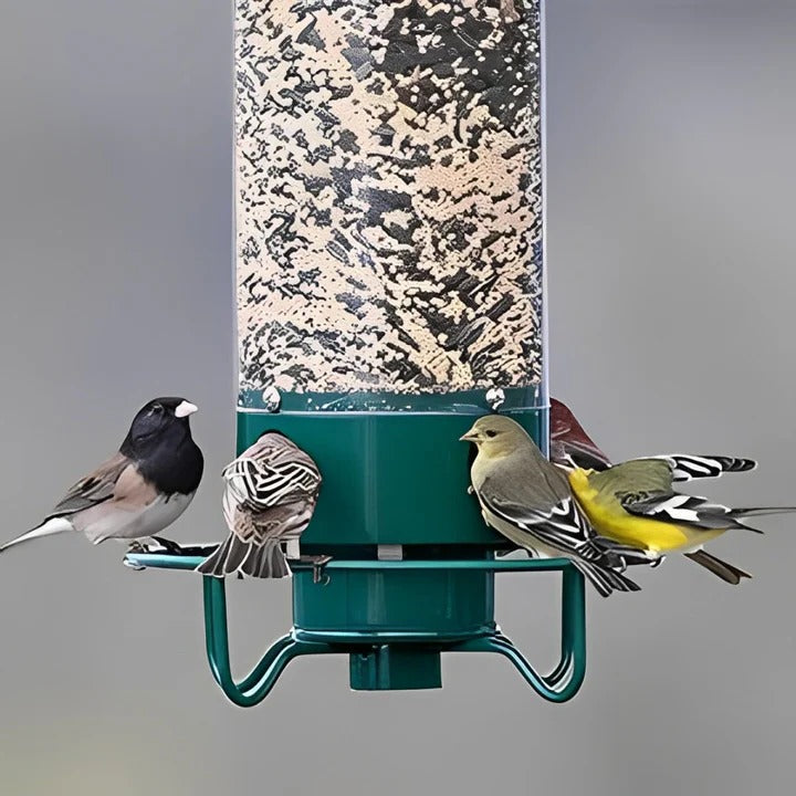 Weight Activated Bird Feeder Metal 5lb Capacity