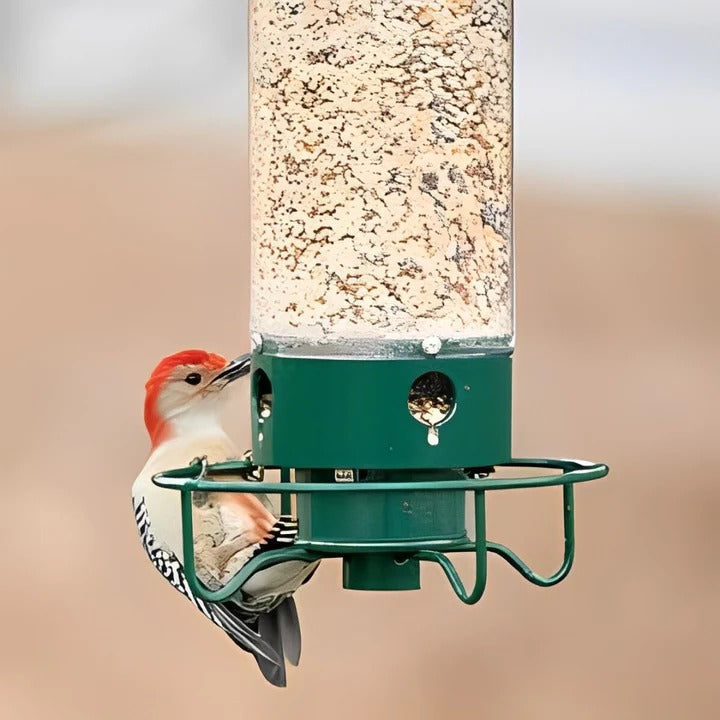 Weight Activated Bird Feeder Metal 5lb Capacity
