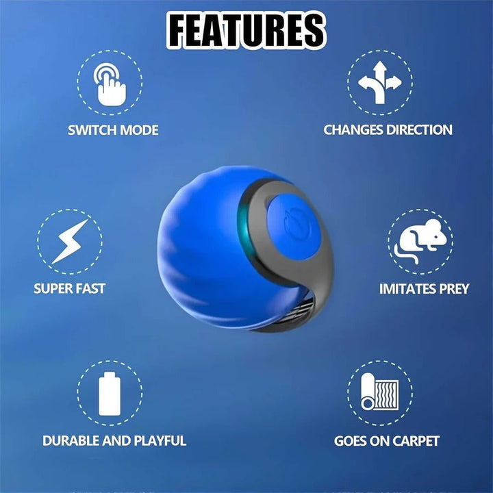 Interactive Cat Toys Tail Design Indoor Play Set