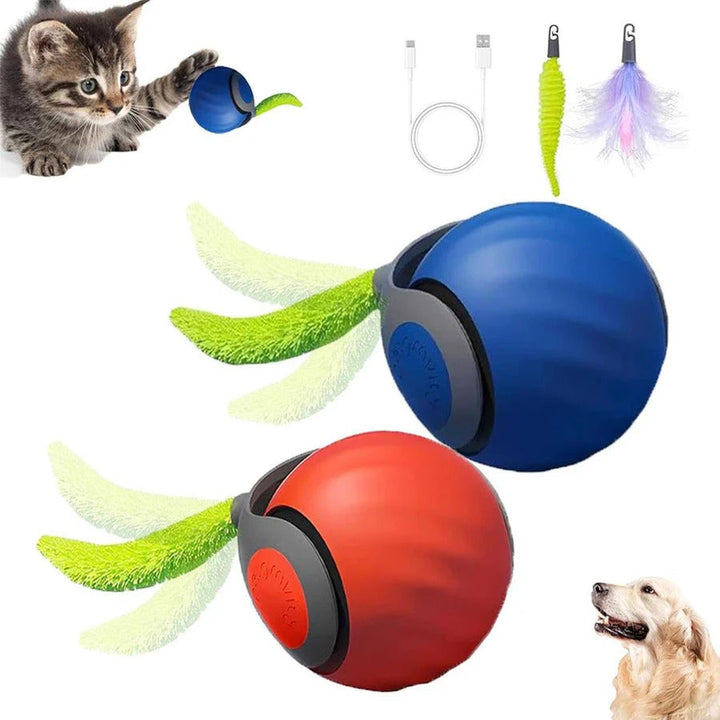 Interactive Cat Toys Tail Design Indoor Play Set