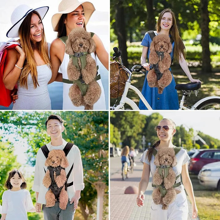 Pet Carrier Backpack Adjustable Fit