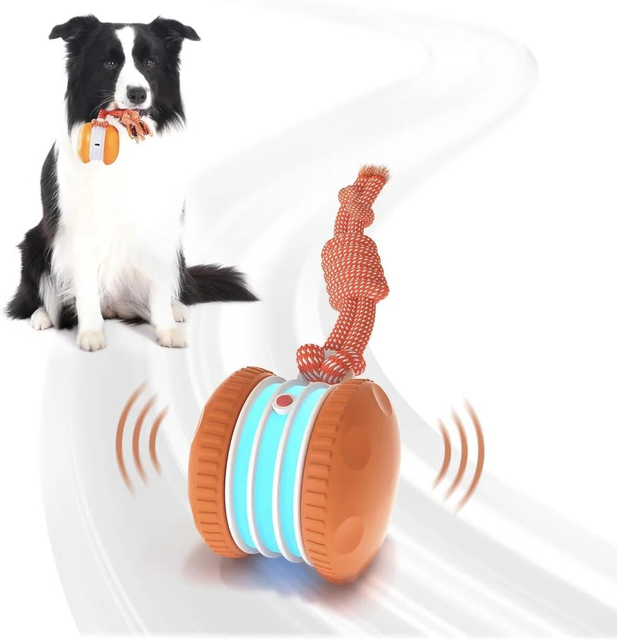 Interactive Dog Ball Toy with Automatic Rolling and Rope - Lenila