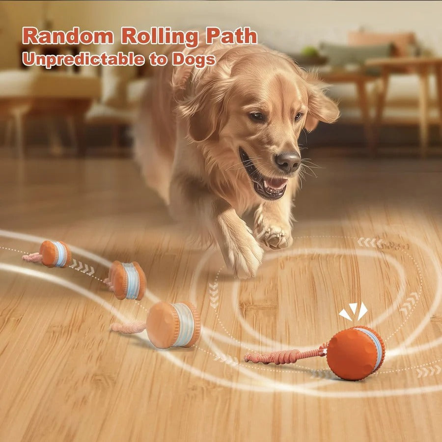 Interactive Dog Ball Toy with Automatic Rolling and Rope