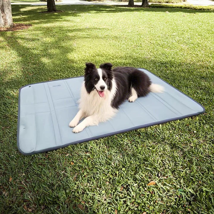 Dog Travel Carrier Portable Pet Bag