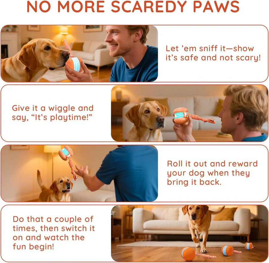 Interactive Dog Ball Toy with Automatic Rolling and Rope