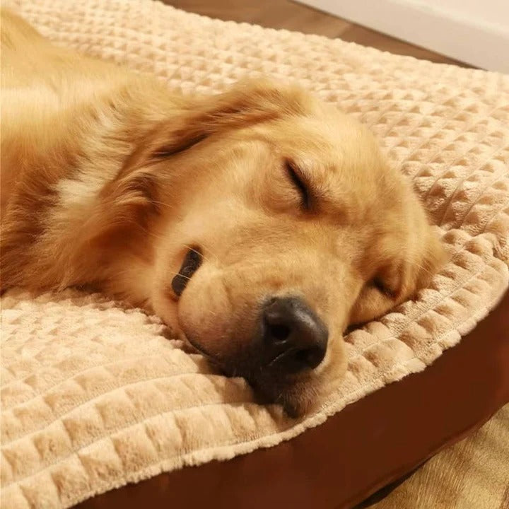 Large Orthopedic Dog Bed with Waterproof Oxford Cover and PP Cotton