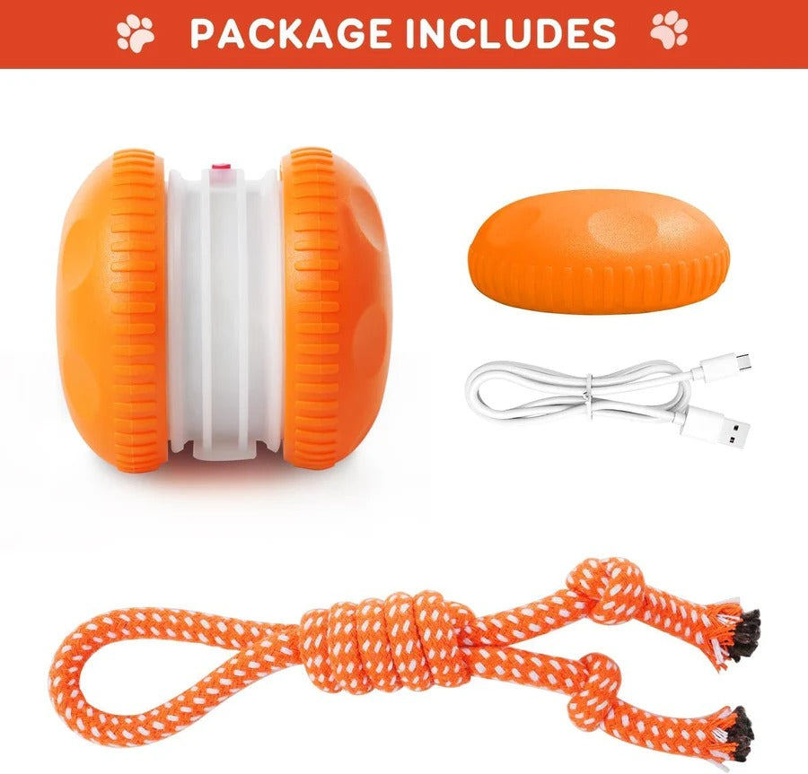 Interactive Dog Ball Toy with Automatic Rolling and Rope