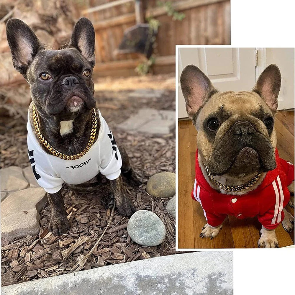 Adjustable Stainless Steel Dog Collar Chain