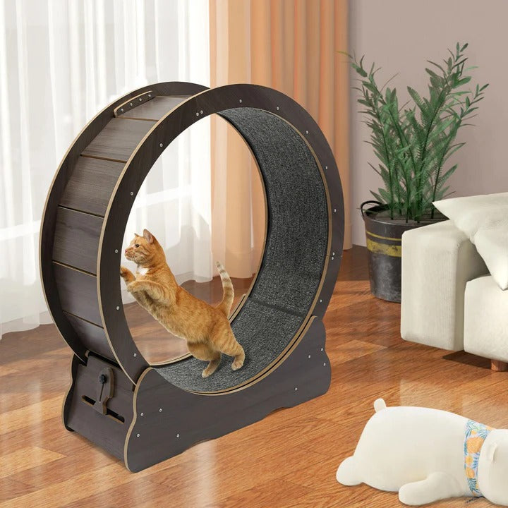 Pet Exercise Wheel for Cats Silent Design - Lenila