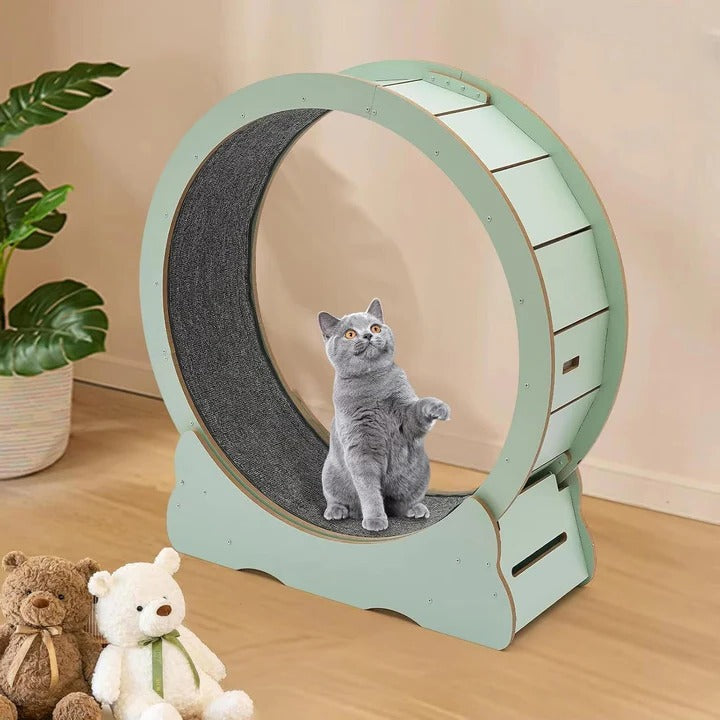 Pet Exercise Wheel for Cats Silent Design