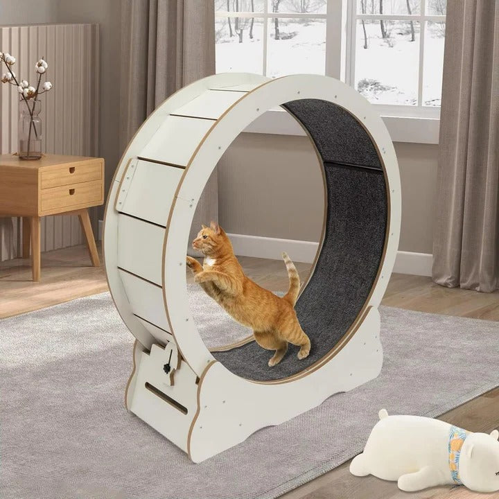 Pet Exercise Wheel for Cats Silent Design