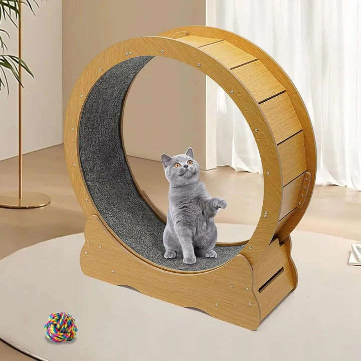 Pet Exercise Wheel for Cats Silent Design