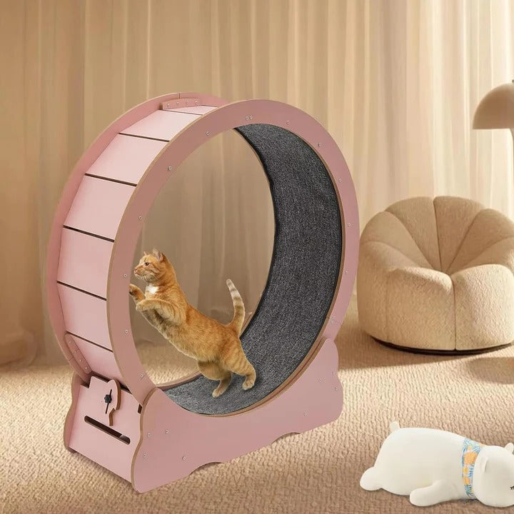 Pet Exercise Wheel for Cats Silent Design