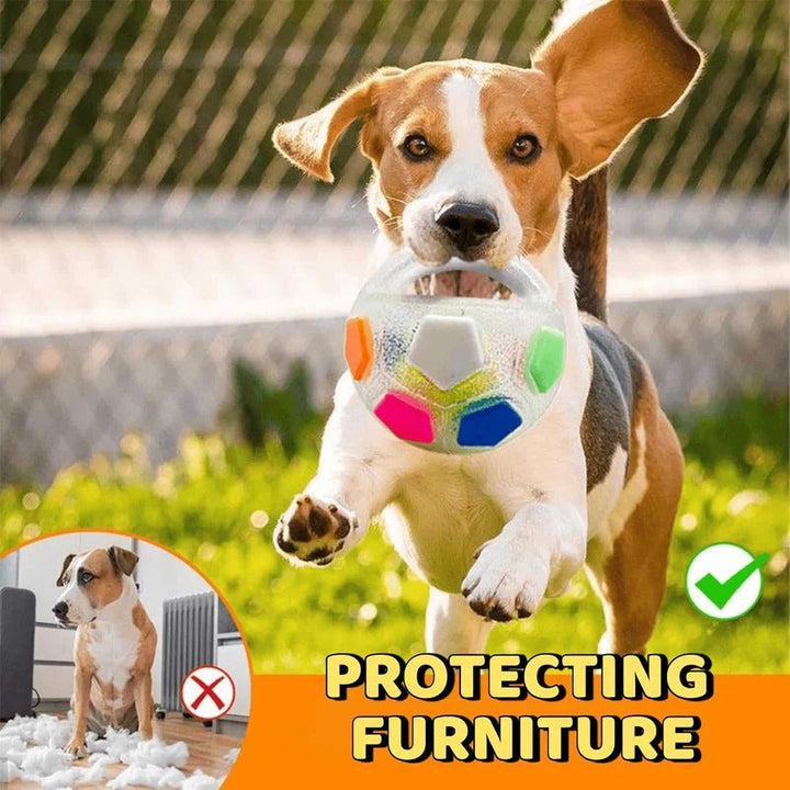 Dog Toy Durable Rubber Bottle Design for Aggressive Chewers