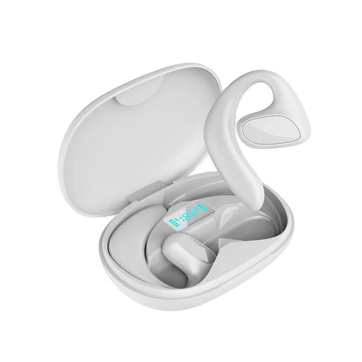 Wireless Bluetooth Earbuds with Language Translation