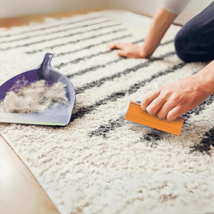 Pet Hair Removal Tool for Car and Furniture Upholstery - Lenila