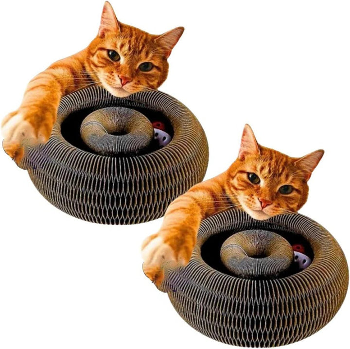 Interactive Cat Scratching Board Recyclable Pad Set with Ball - Lenila