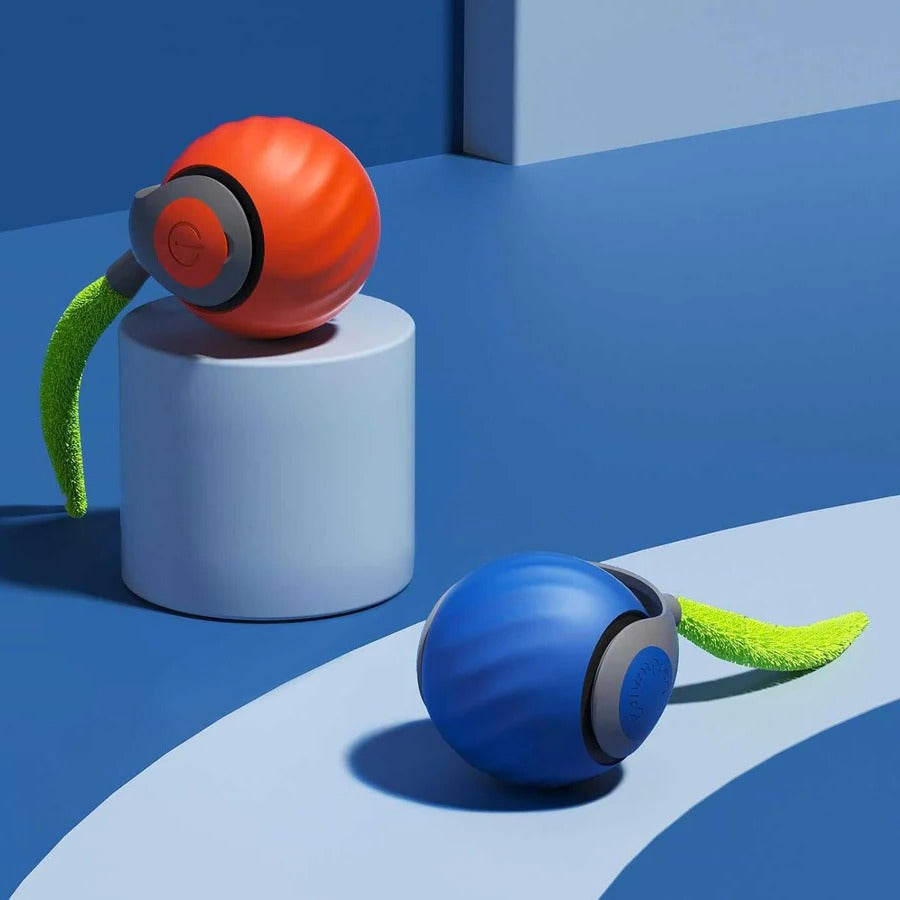 Interactive Cat Toys Tail Design Indoor Play Set - Lenila
