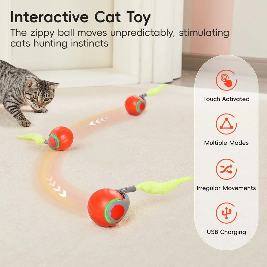 Interactive Cat Toys Tail Design Indoor Play Set