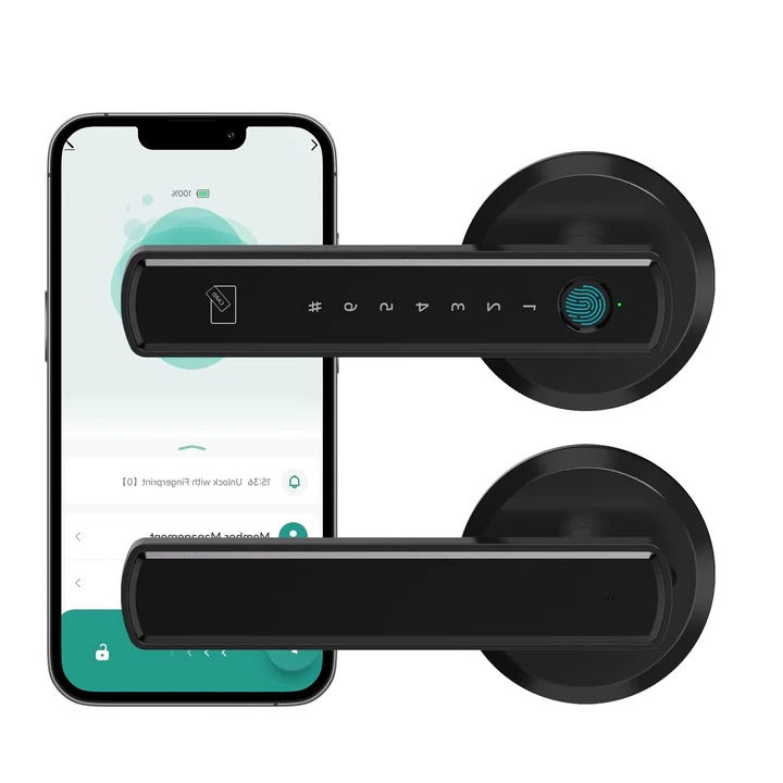 Keyless Access Smart Handle Door Lock - Lenila