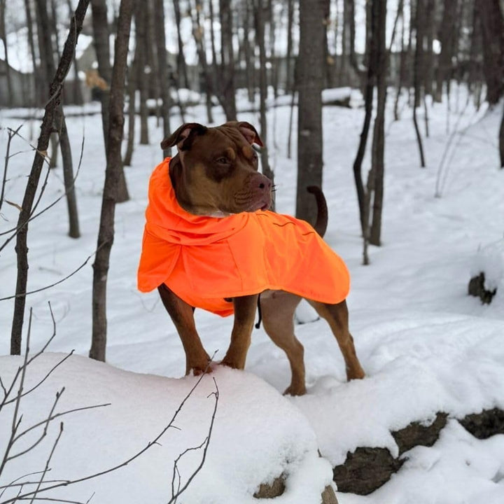 Pet Waterproof Dog Raincoat Reflective Windproof Breathable