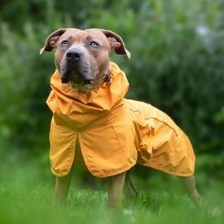 Pet Waterproof Dog Raincoat Reflective Windproof Breathable