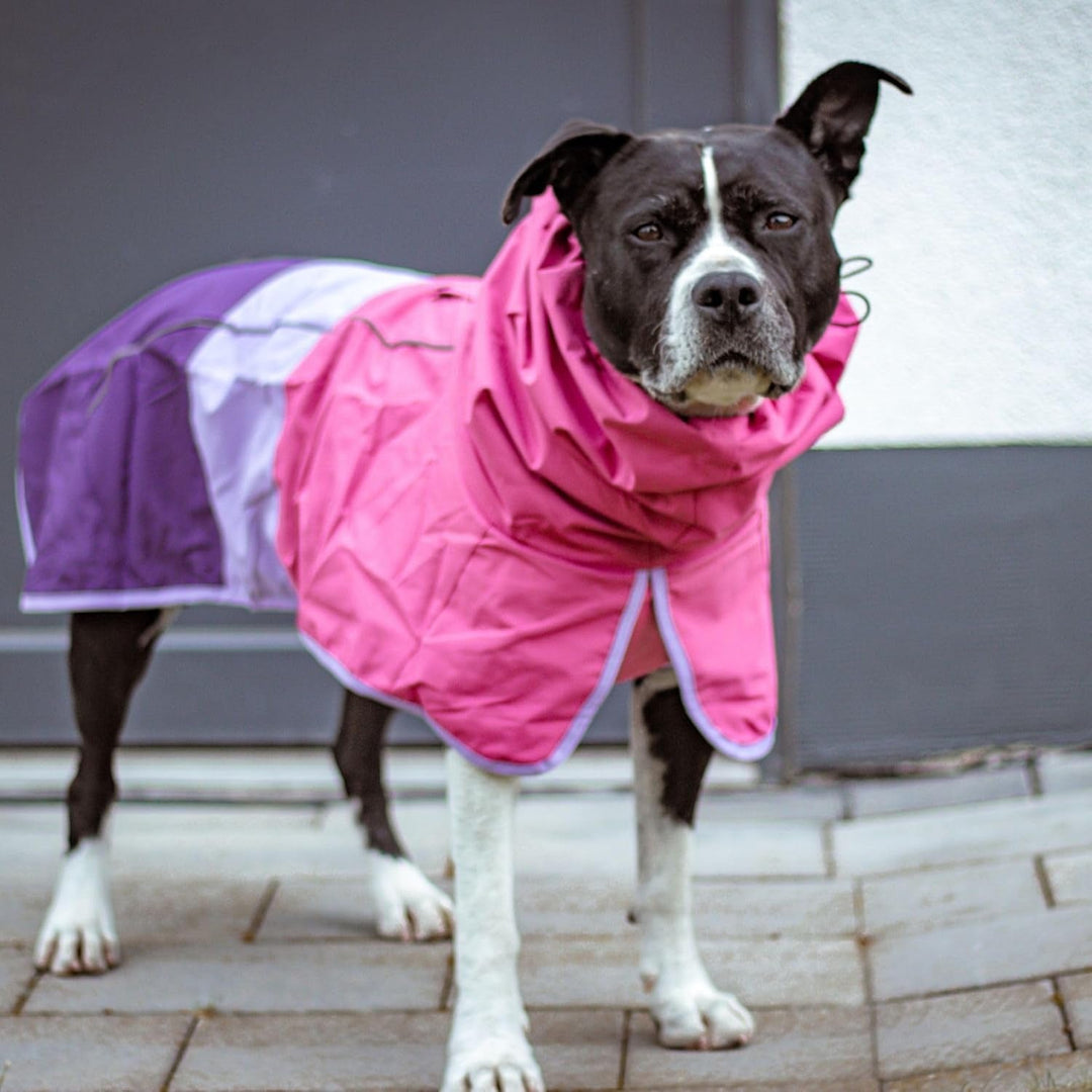 Pet Waterproof Dog Raincoat Reflective Windproof Breathable