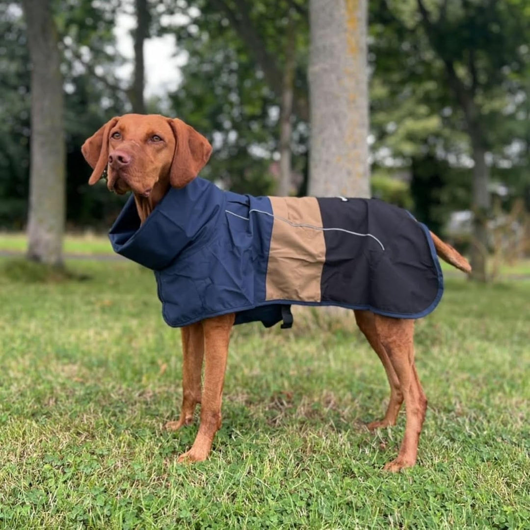 Pet Waterproof Dog Raincoat Reflective Windproof Breathable