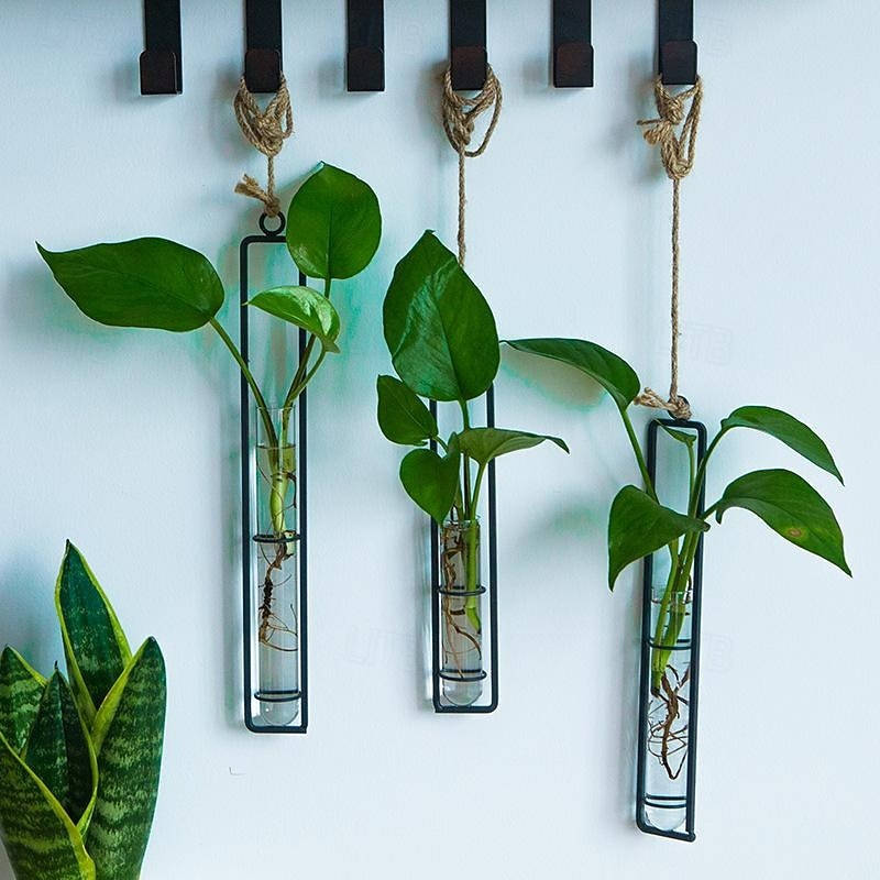 Indoor Plant Propagation Station Glass Test Tube Planter with Metal - Lenila