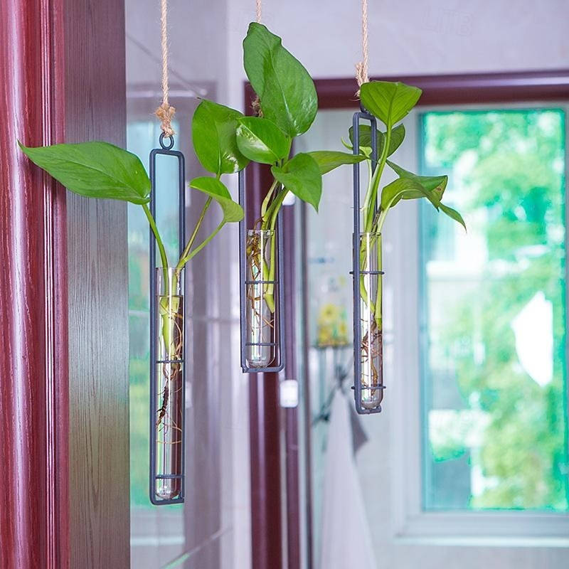 Indoor Plant Propagation Station Glass Test Tube Planter with Metal