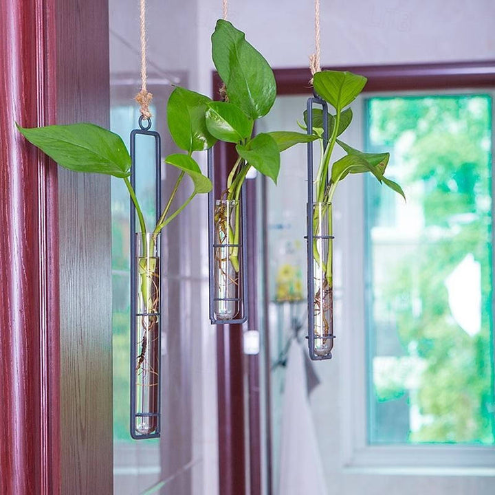 Indoor Plant Propagation Station Glass Test Tube Planter with Metal