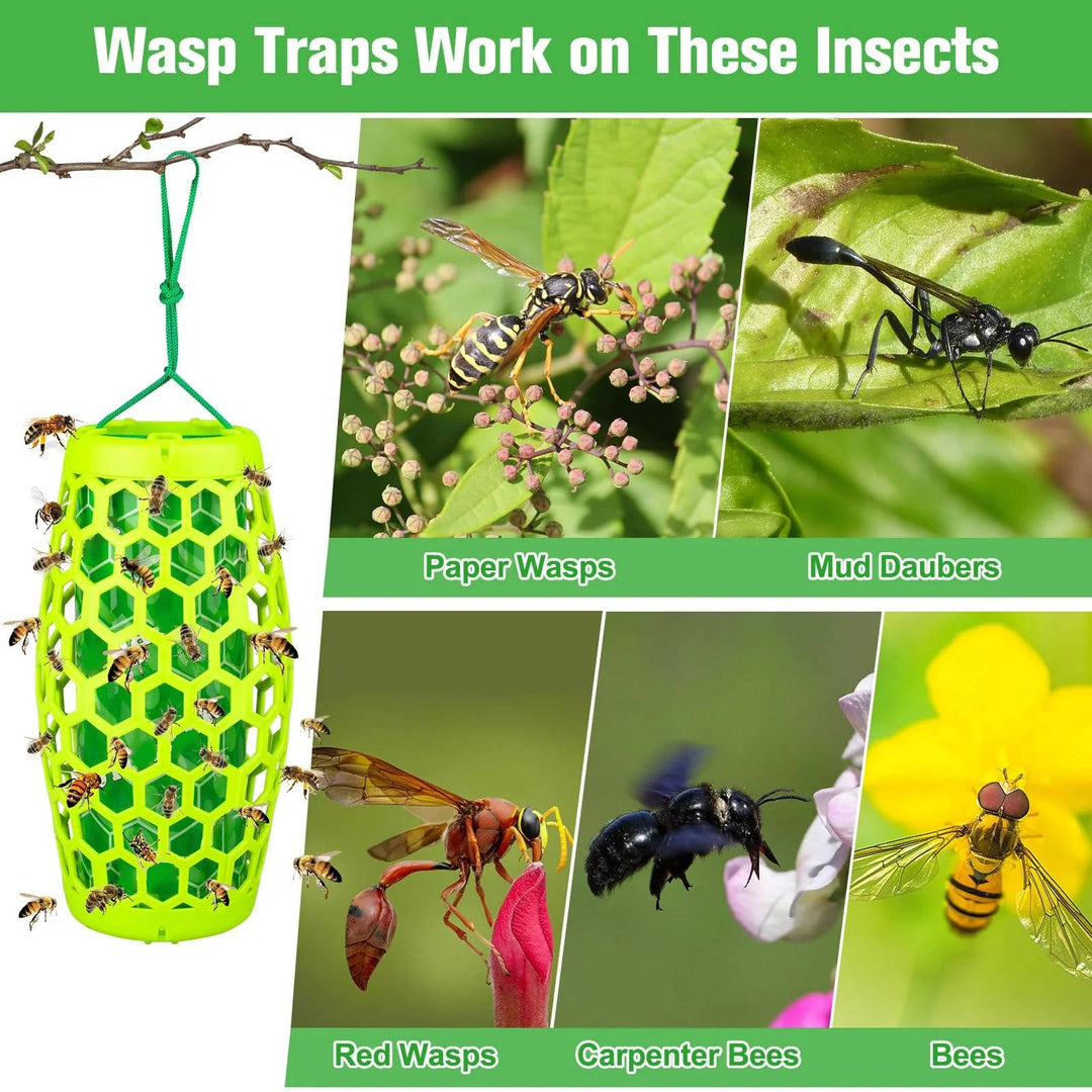 Outdoor Reusable Wasp Trap Hanging Garden Pest Catcher