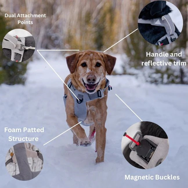 Pet Dog Harness Magnetic One-Hand Clip No-Pull Design