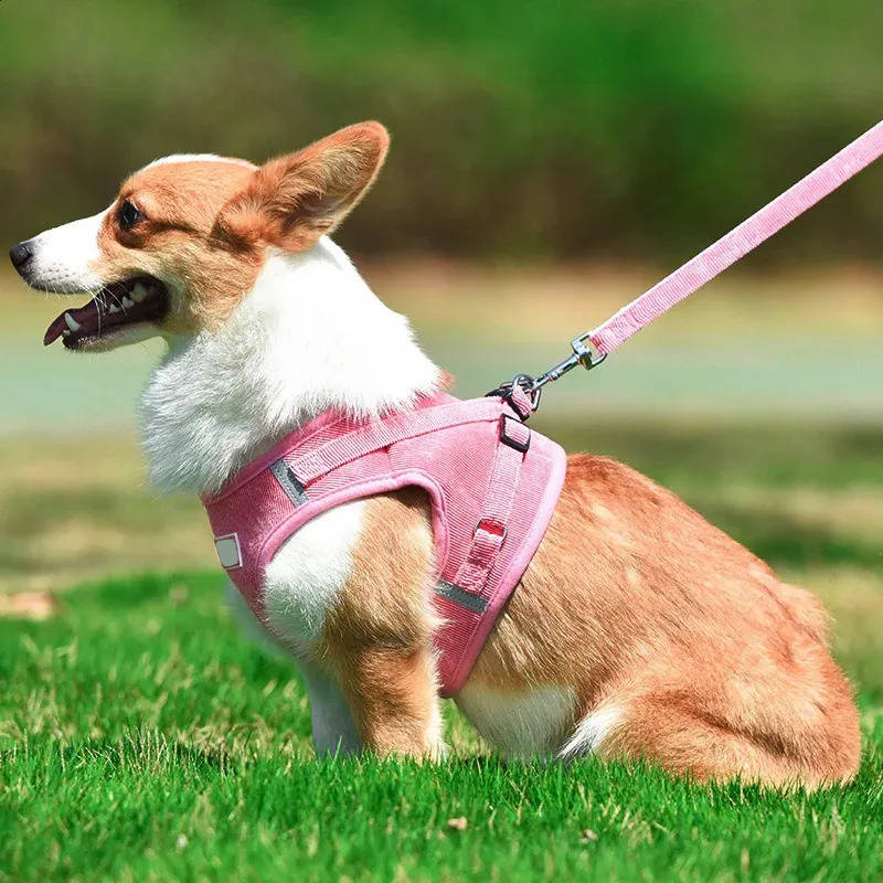 Pet Reflective Corduroy Harness and Leash Set Breathable Chest Strap