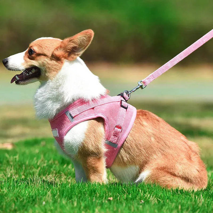 Pet Reflective Corduroy Harness and Leash Set Breathable Chest Strap